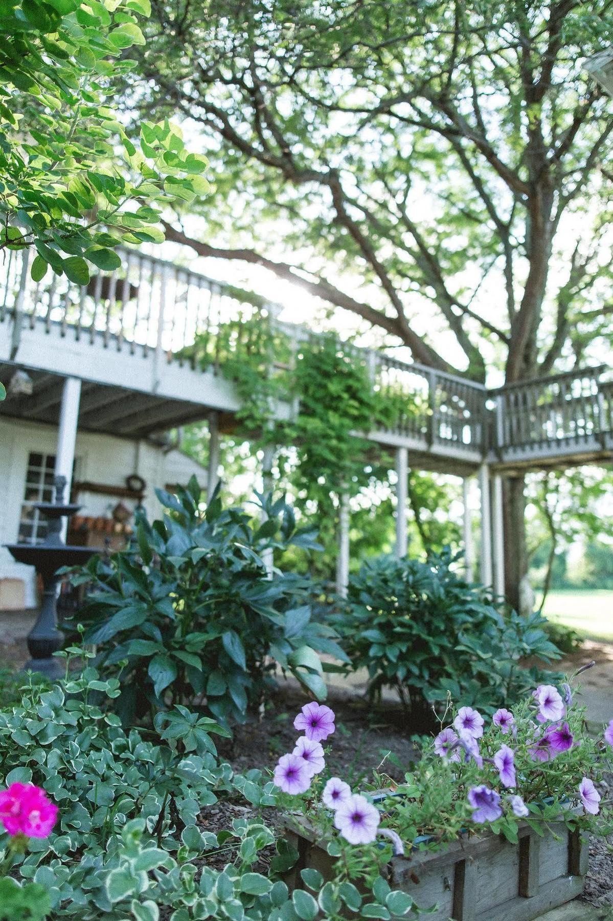 Orchard House Bed And Breakfast Granville Exterior photo